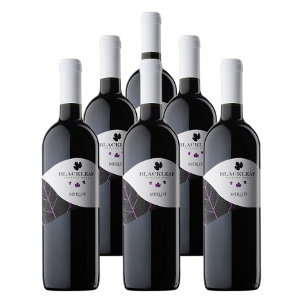 意大利拉提亚叶之藤梅洛干红葡萄酒750ml（6瓶装）